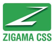 ZIGAMA CSS logo