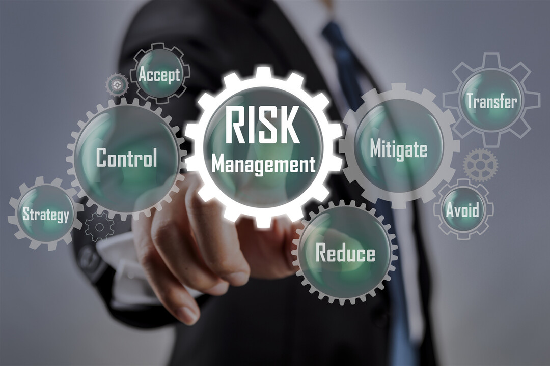 Risk Management in Digital Banking